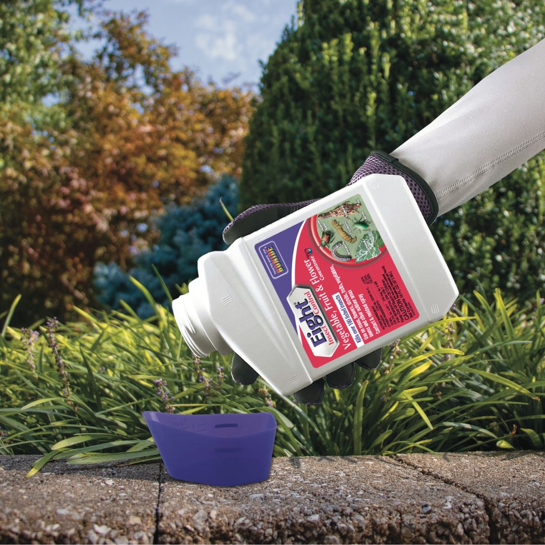 Eight Vegetable, Fruit & Flower Insect Control – Bonide – 16 oz